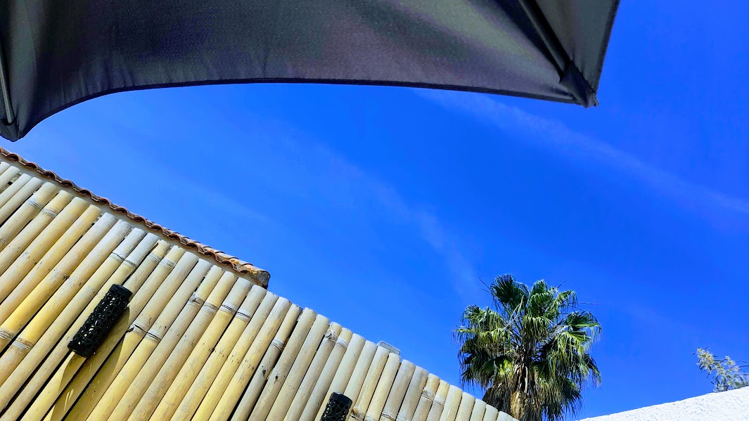 Ciel bleu et palmiers depuis la terrasse